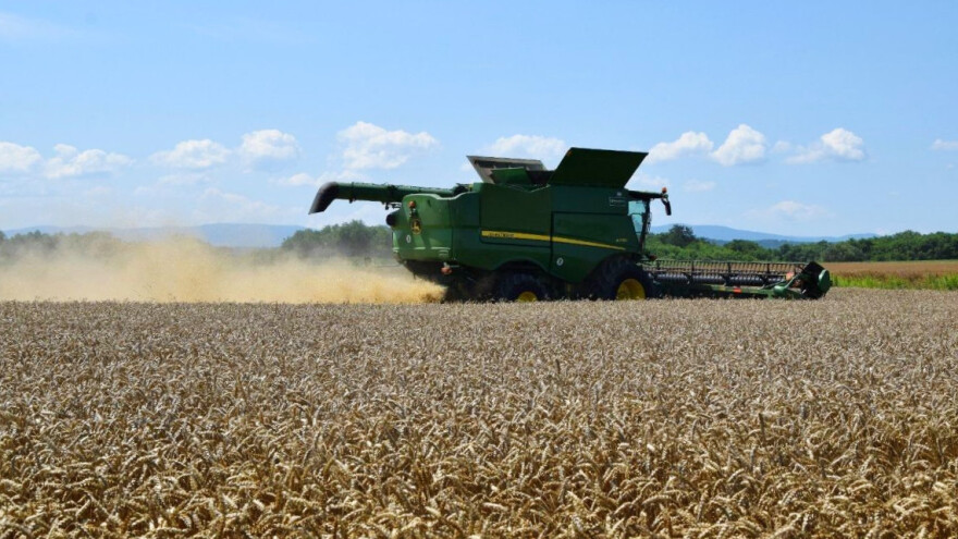 Hoće li prinosi pšenice ove godine nadmašiti očekivanja domaćih ratara?