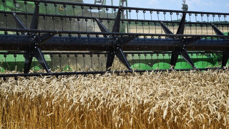 Strategija predviđa povećanje zasijanih površina pod pšenicom i kukuruzom