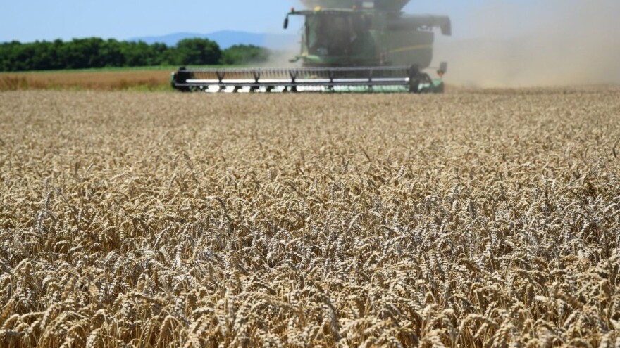 U Covid godini Hrvatska zabilježila najveći rast poljoprivredne proizvodnje od 2008.
