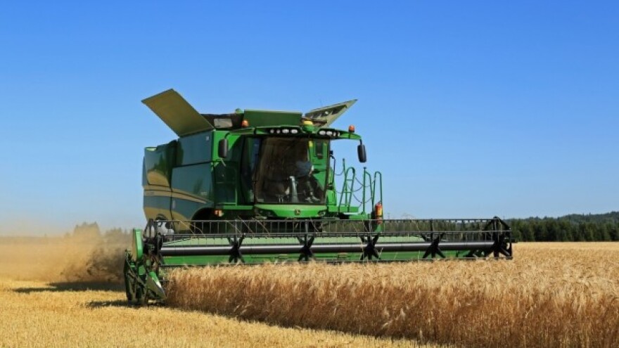 Žetva ječma počela, pšenice uskoro, a cena?