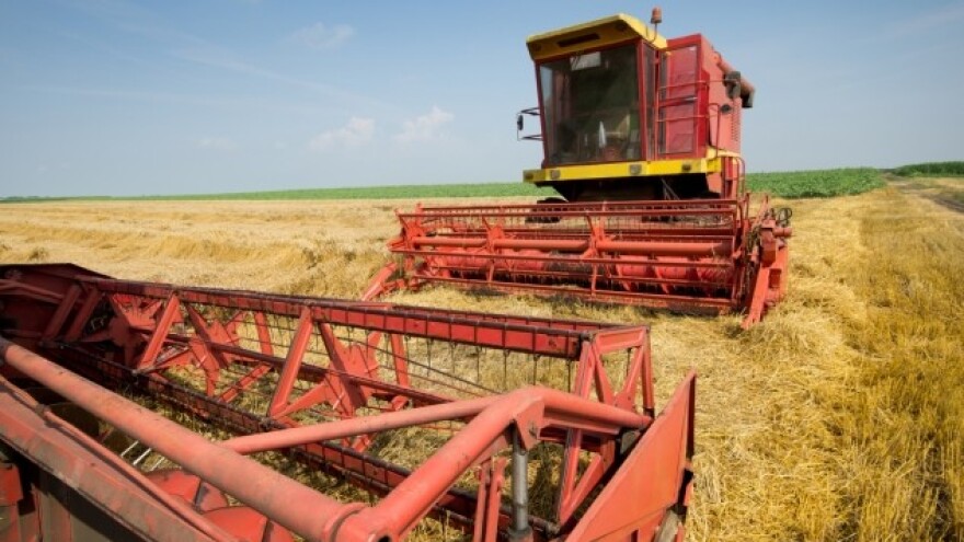 Počela žetva ječma, očekuju se odlični prinosi