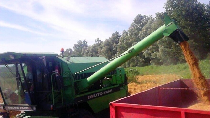 Ratari čekaju bolju cijenu pšenice!