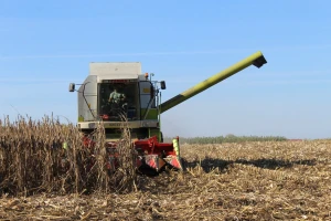Oko osam odsto svetske žetve ide za proizvodnju etanola, usporava potrošnja biogoriva