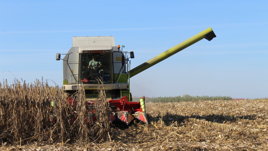 Oko osam odsto svetske žetve ide za proizvodnju etanola, usporava potrošnja biogoriva