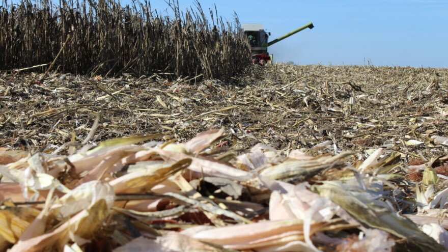 Korisnik ste eko sheme 31.06? Provjerite pravila kriterija permanentne pokrivenosti tla