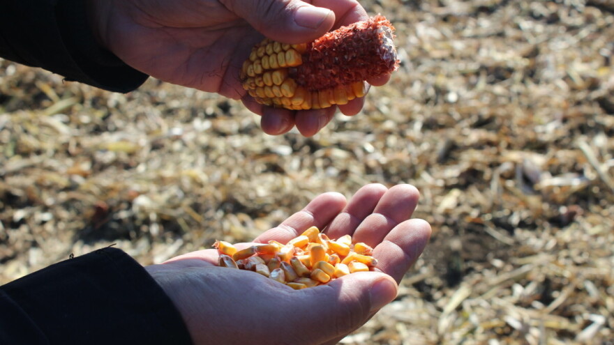 Državni zavod za statistiku objavio cijene biljnih i stočnih proizvoda u 2023.