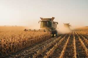 Žetva kukuruza uz niže prinose i široku primjenu