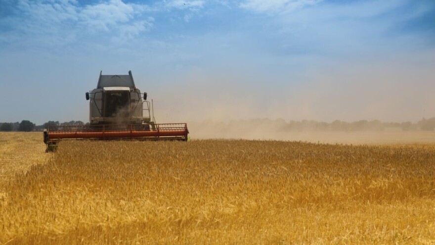 Smanjen izvoz pšenice iz Rusije, ima najnižu vrijednost u posljednje tri godine