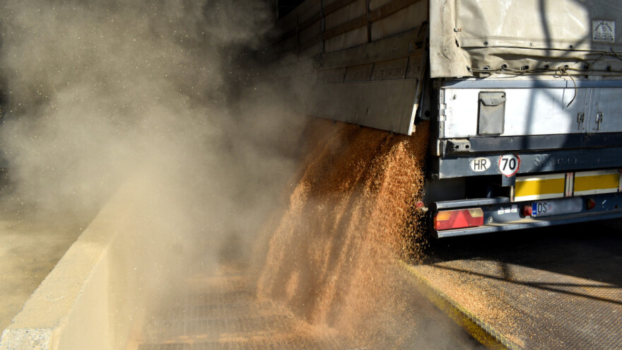Žetva 2023: Niska otkupna cijena je posljednji udarac - tko preživi, pričat će