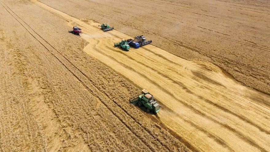 Argentina uvodi porez na izvoz žitarica i uljarica?