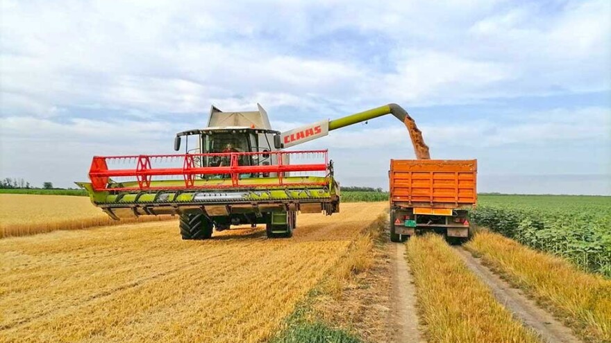 Krenula žetva pšenice u Zrenjaninu - prinos od 5 do 5,5 tona po hektaru