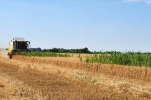 Deklarativna podrška ratarima – danas novi pregovori o cijeni pšenice