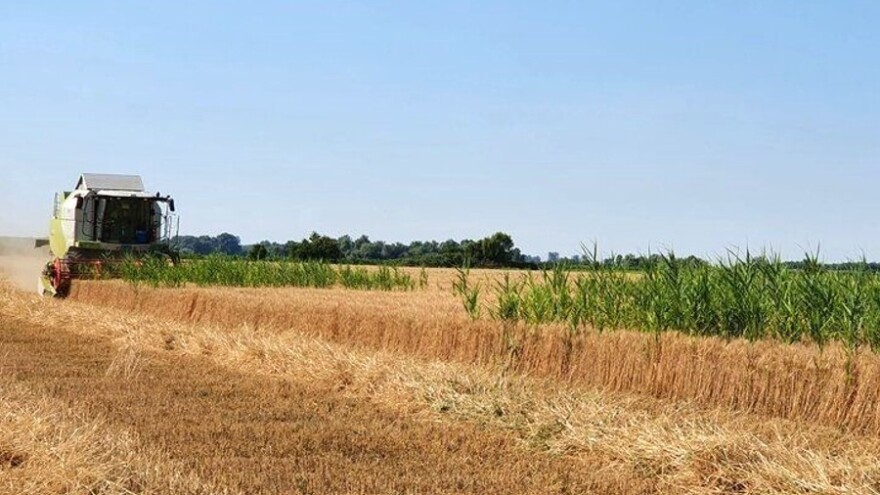 Deklarativna podrška ratarima – danas novi pregovori o cijeni pšenice