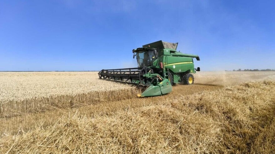 RZS objavio prve prognoze prinosa: Pšenice više za 24,3% nego prošle godine