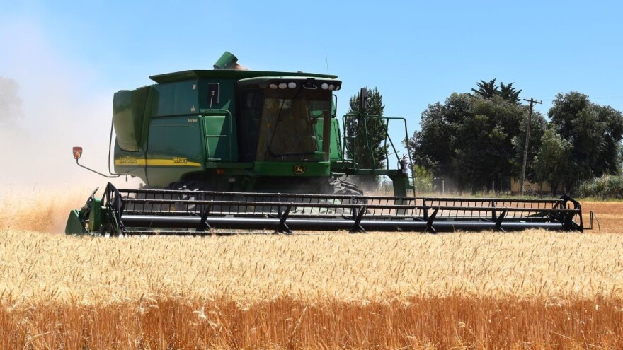 Pad cijene pšenice: Prvi puta u Rusiji nakon tromjesečnog rasta