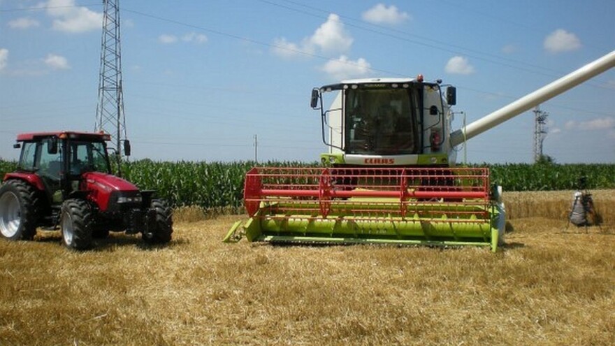 Pšenica malo poranila - prosečan prinos oko 6,5 t/ha