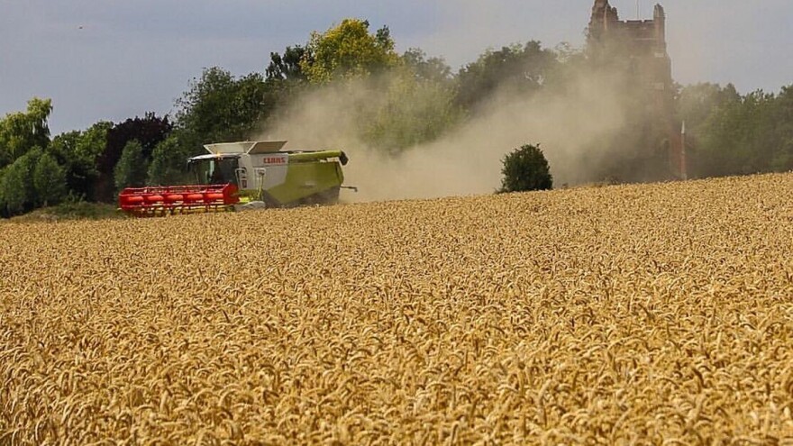 Rusija izvezla gotovo 50 milijuna tona žitarica - gotovo 50% više nego u 2017.