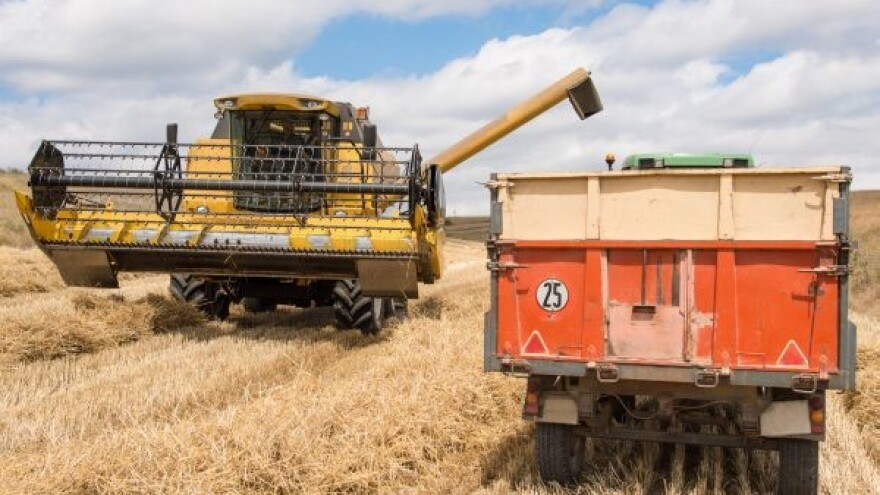 U RS poticaji za pšenicu 500 KM/ha