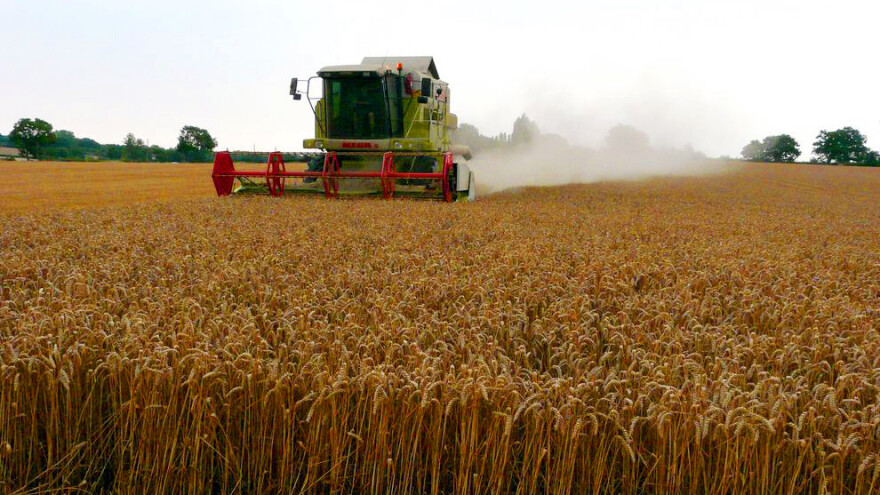 Ruski izvoz pšenice premašio 30 miliona tona