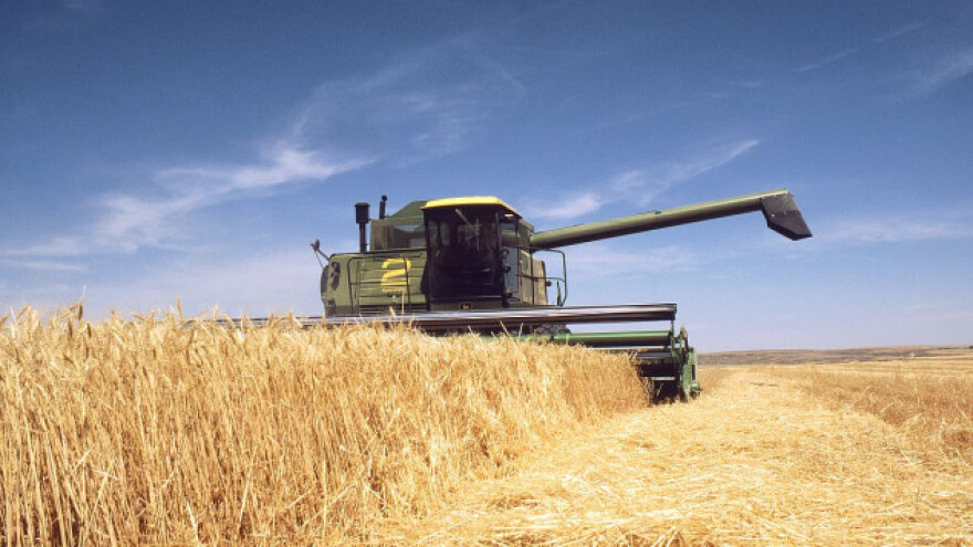 Značajan rast izvoznih cijena ruske pšenice