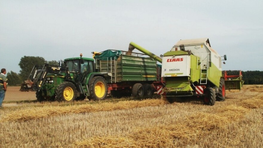 Ratari sumnjaju u kvalitetu sjemena pšenice