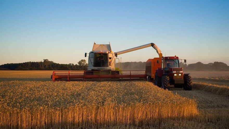 Ruski izvoz pšenice u sezoni 2017/18 veći za 50%