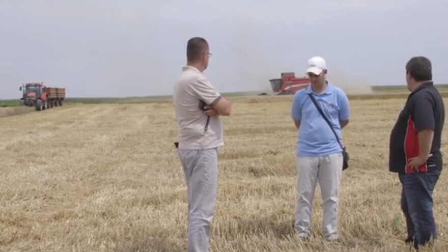 Šta o završenoj žetvi kažu stručnjaci i ratari?