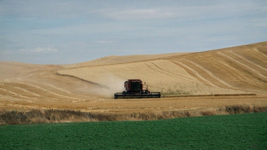 Rusija izvezla duplo više pšenice nego prošle sezone