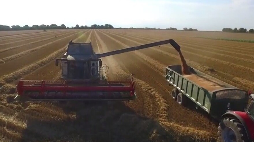 Srušio rekord u prinosima pšenice i repice!