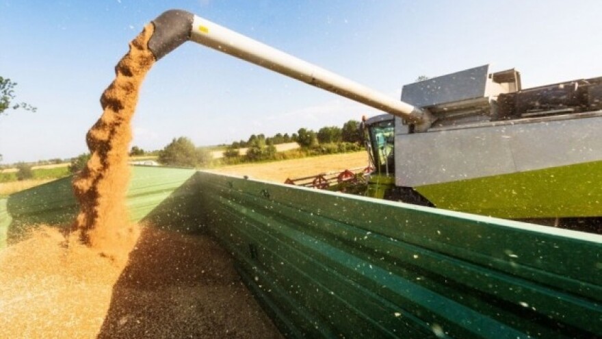 Britanski izvoz žitarica najveći od 2000.