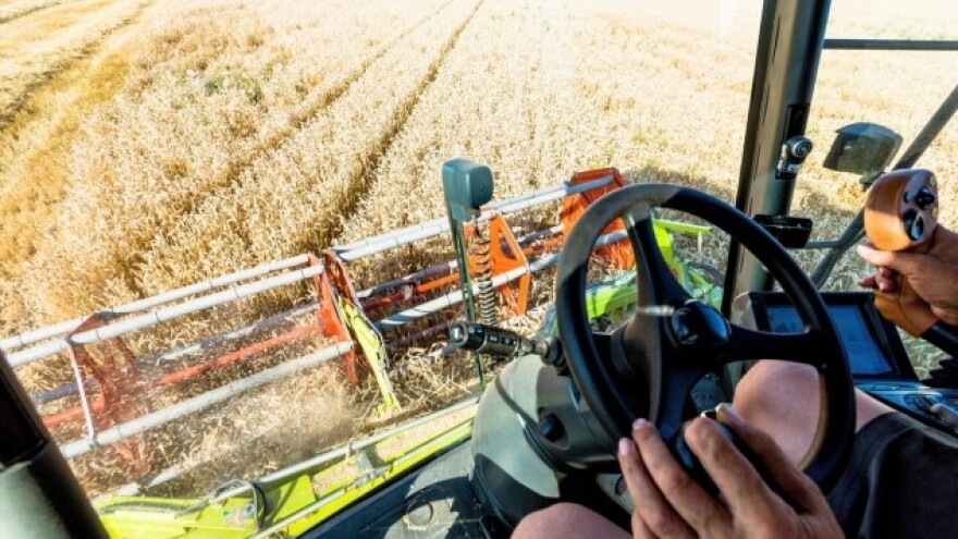 Ove sezone očekuje se višak pšenice na tržištu