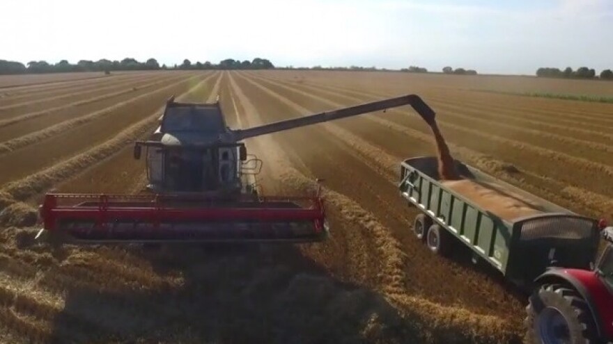 Srušio rekord u prinosima pšenice i repice!