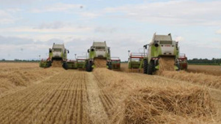 Sastanak oko otkupa pšenice