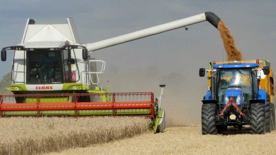 Crnomorska regija - izvor pšenice u 2017.