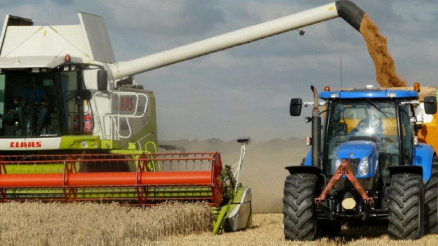 Svetske cene pšenice pod pritiskom prinosa