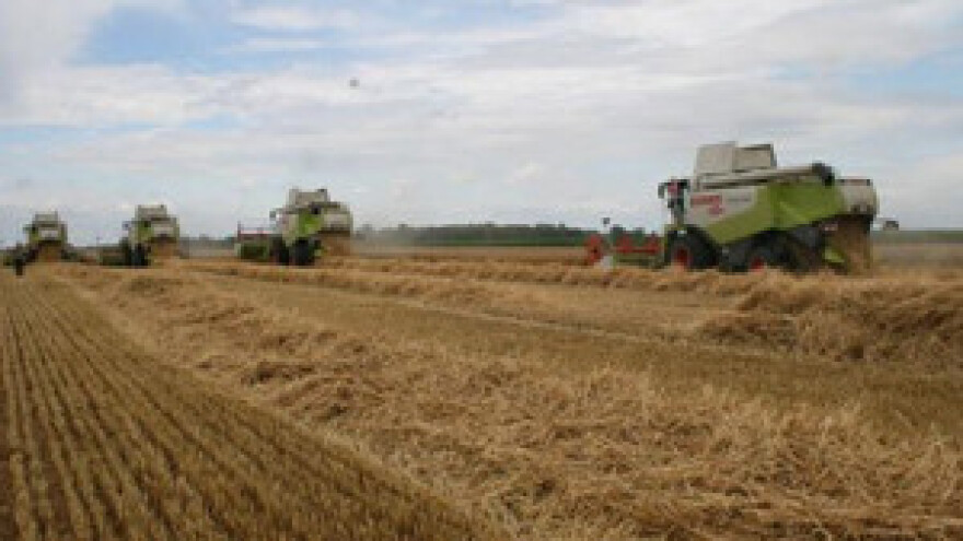 Čobanković: Država neće određivati otkupnu cijenu pšenice