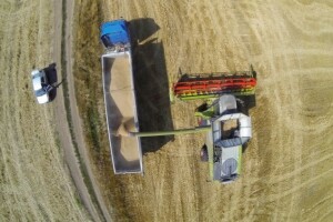 Zaostaje žetva u Rusiji - prednost EU žitaricama!