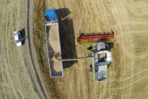 Zaostaje žetva u Rusiji - prednost EU žitaricama!