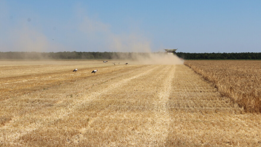 Zašto je zakup državnog poljoprivrednog zemljišta u Hrvatskoj bolji od vlasništva istog?