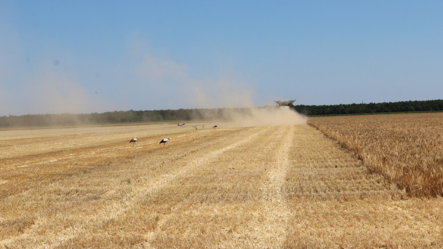 Vučković: OPG-ovi će imati prioritet na natječajima za državno poljoprivredno zemljište