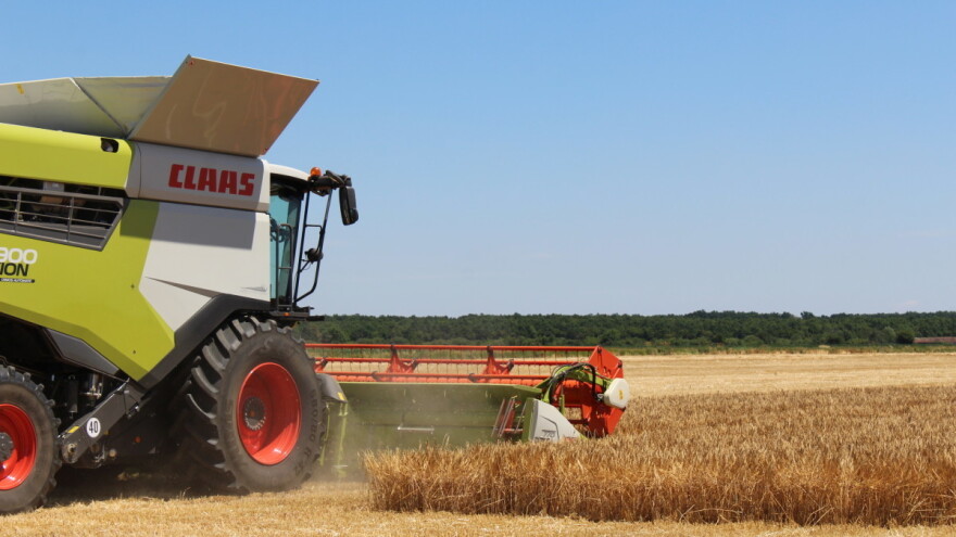 Pojačana potražnja za pšenicom - ali cena 20 dinara za kilogram