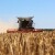 Ratari s otkupljivačima kod ministrice - traže 2,9 kuna za kilogram pšenice