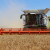 Žetva 2022 dobar primjer pšenične godine, a kada će se znati otkupna cijena?