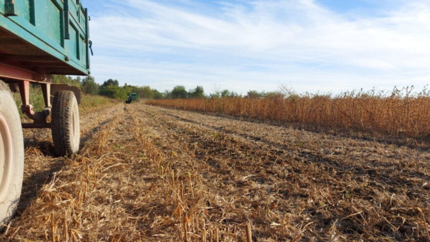 Soja i kukuruz roda 2024: Zlatno doba ratarstva u Hrvatskoj je završilo