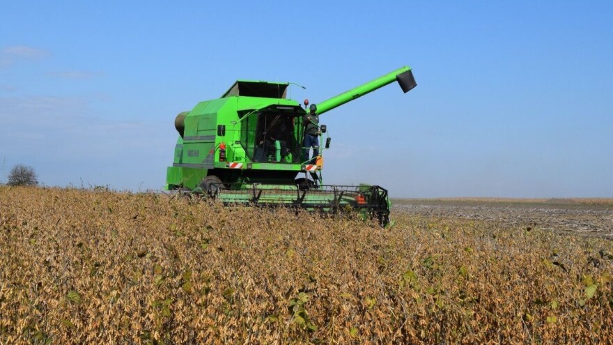 Druga procjena DZS-a: Realni dohodak u poljoprivredi 2020. zabilježio rast od 14%