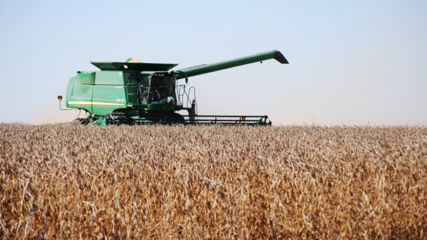 Soja slabo rodila i u Somboru