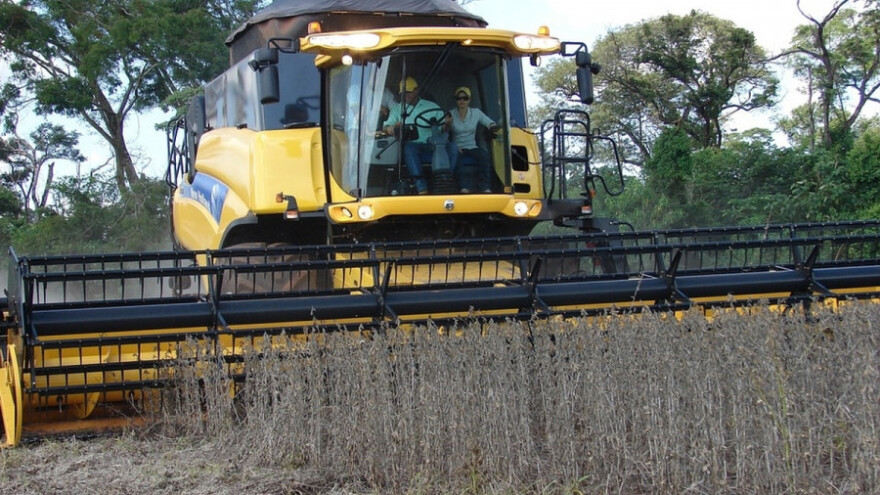 Cena uljarica će biti u skladu sa tržištem