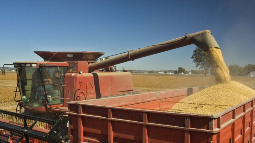 Suncokret i soja će se uvoziti