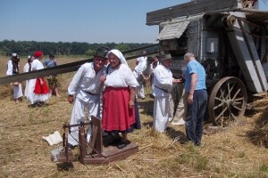 Moba požnjela žito i navršila usrid žege