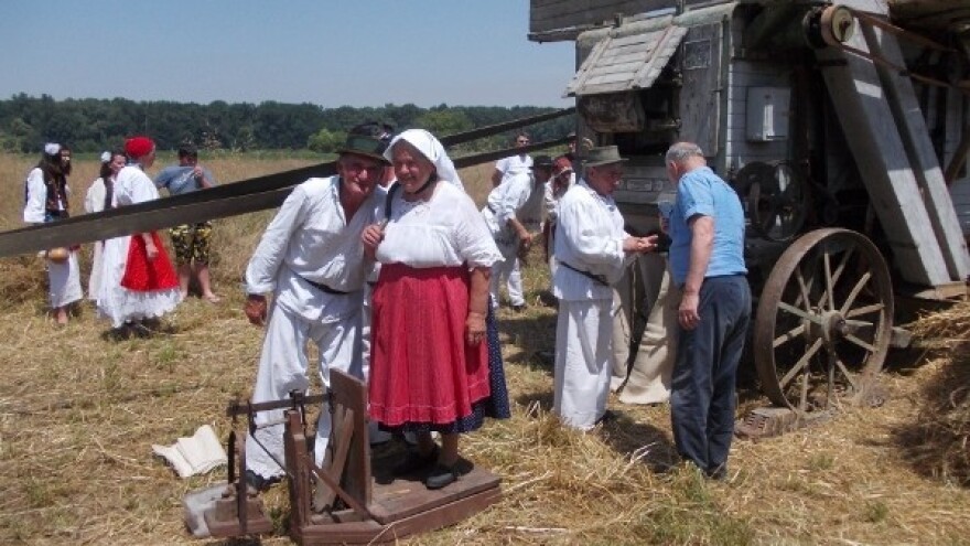 Moba požnjela žito i navršila usrid žege